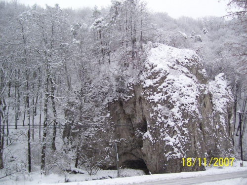 #Drzewa #Góry #Kraków #Las #Ojców #Skały #Śnieg #Turystyka #Zabytki #Zima #Zwiedzanie