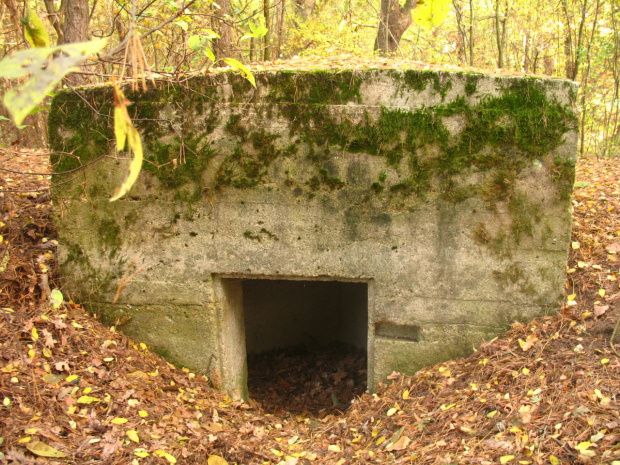 Fort XVII B