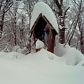 Bieszczady 13-14 listopada 2007