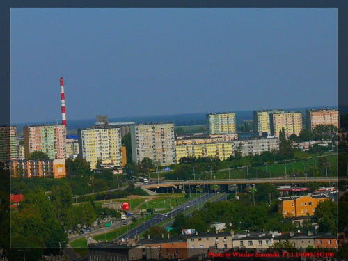 Gniezno i Katedra Koronacyjna Królów Polskich.