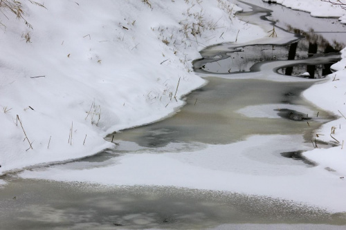 zimowe kontrasty #kontrast #lód #strumyk #śnieg #woda #zima