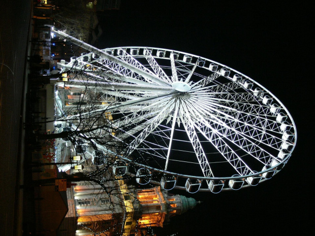 belfast eye