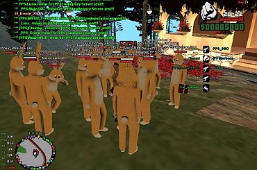 urodziny słodkiej ;d #samp