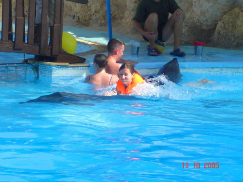 "pływam" z delfinem #Egipt