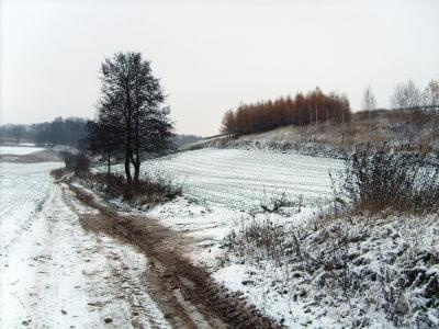 Skierbieszów,listopad, zima, spacer