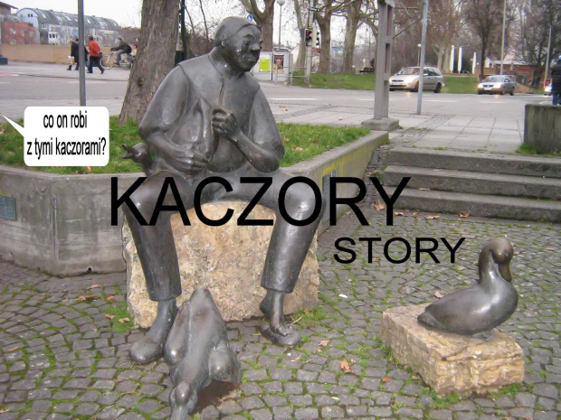 kaczory #humor