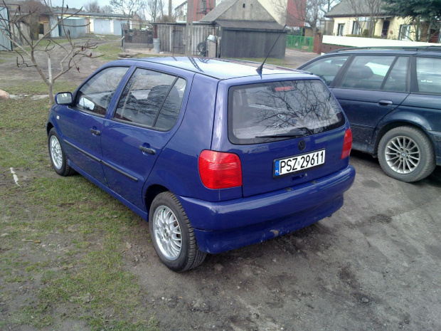 Polo