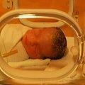 Witajcie :) Jestem Krzysio - braciszek Tadzia,
To ja kilka minut po urodzeniu :)
Urodziłem się 6 listopada 2007r. o godz 18:57. Ważyłem 2510 gram i byłem wysoki na 53cm :)