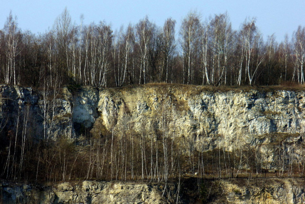okolice kopca Krakusa #skały #brzozy #wapień