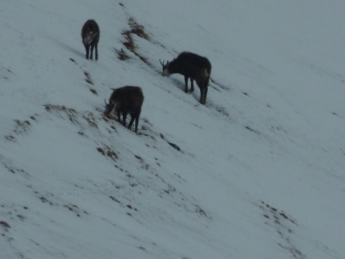 Tatry - 13.04-14.04. 2013