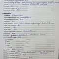 sekcja Krówki