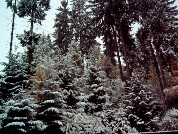 Pierwszy śnieg w RABCE-Zdrój 20.10.2007r #śnieg #rabka