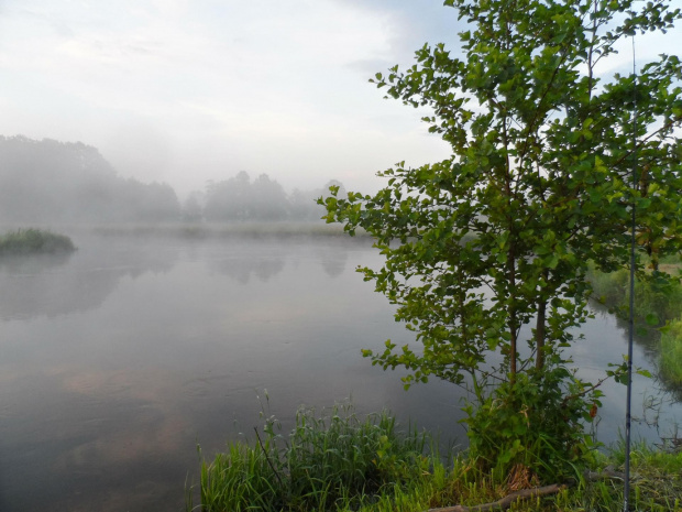 wszystko płynie