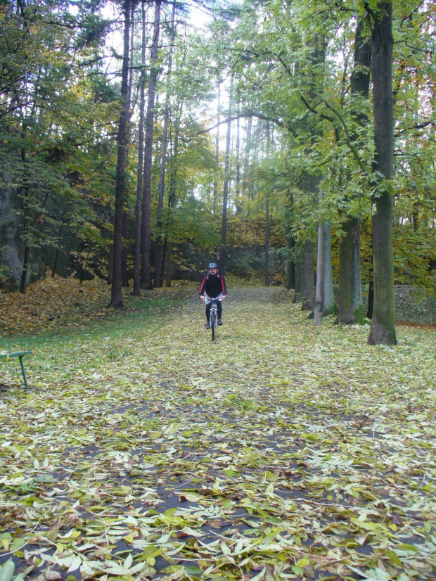 park Bednarskiego #park #jesień #rower