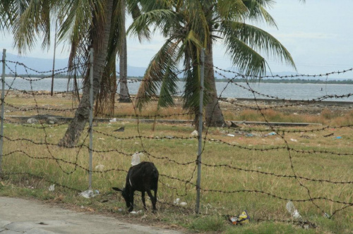 Zamboanga, wyspa Mindanao, Filipiny