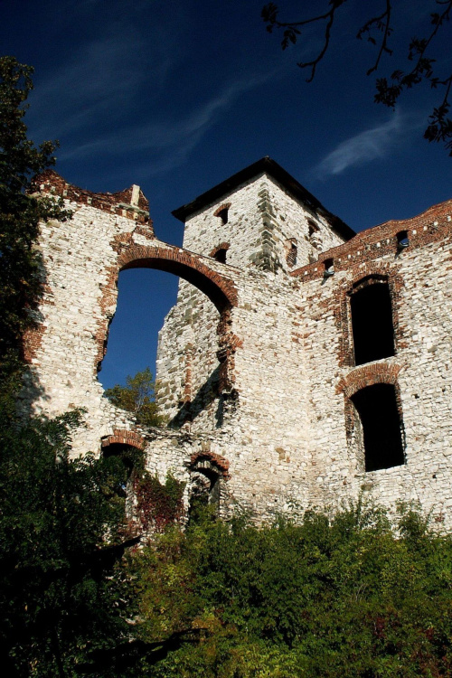 Zamek Tęczyn w Rudnie