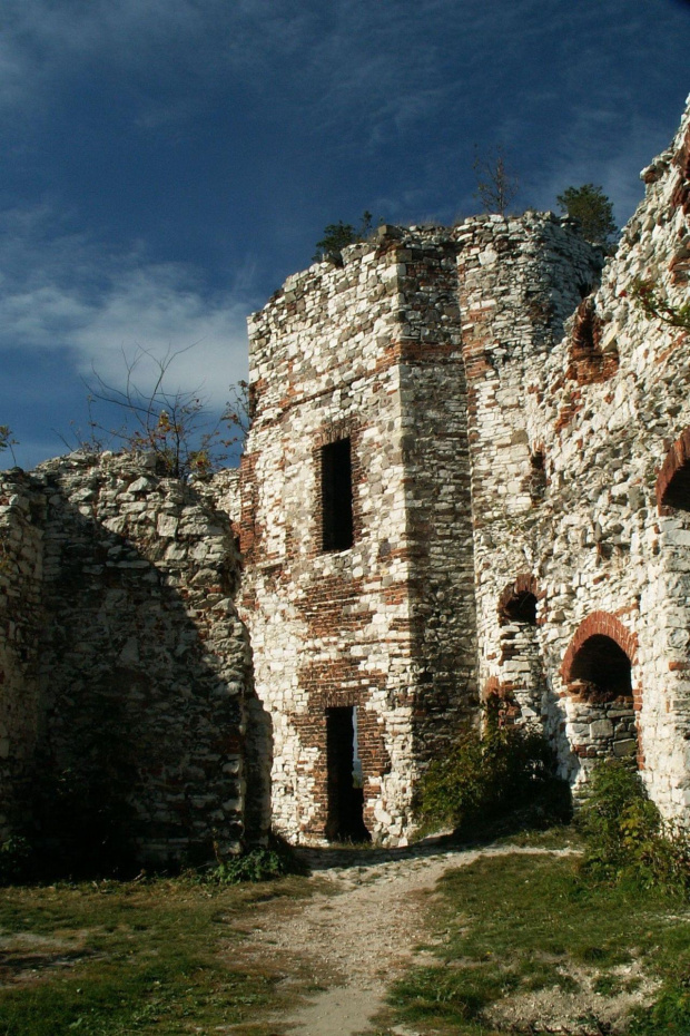 Zamek Tęczyn w Rudnie