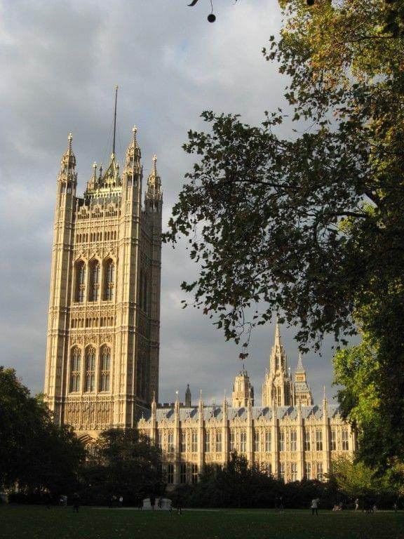 Westminster i roślinka