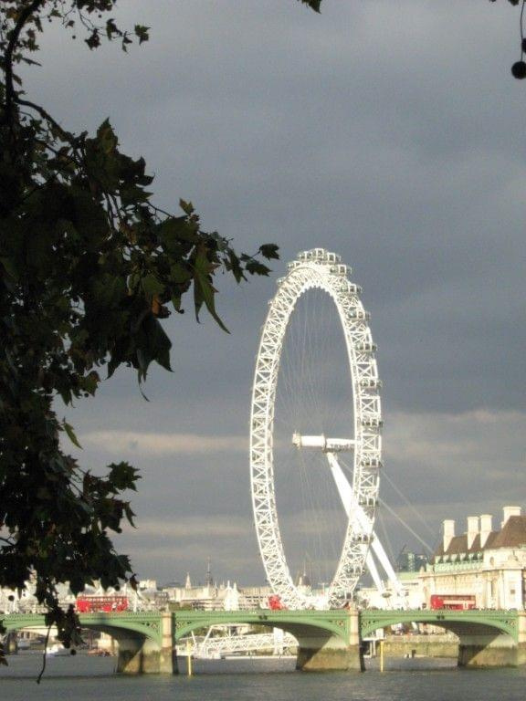 LondonEye i roślinka