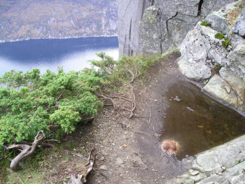 Norwegia, Preikestolen copyright(c)jarekmadlewski2007