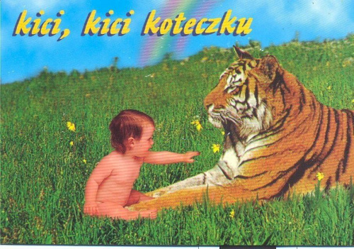 #tygrys #dziecko #natura #trawa #pocztówki