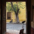 San Miguel de Allende (Guanajuato, México)