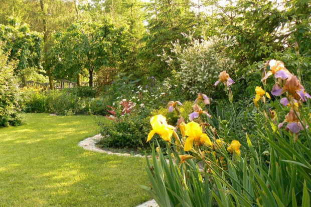 ogród- koniec maja #ogród