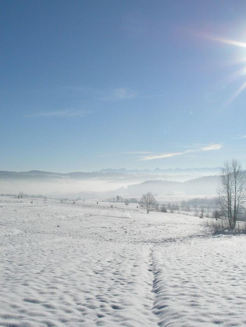 Zbocza Lubonia w śniegu, a hen ... daleko Tatry :)