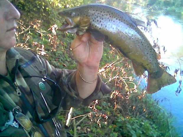 Pstrąg potokowy 46cm .Lato 2007 #ryby