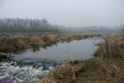 Dolina rzeczki Święcek #DolinaRzeczkiŚwięcek #Młynno #Mazury