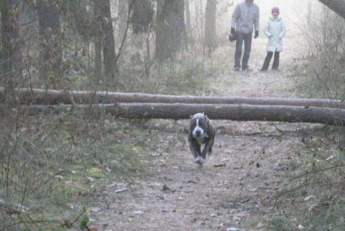 Lucky 26 Grudzień 2007