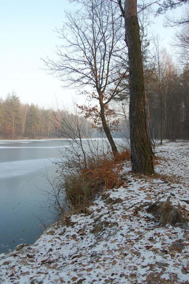 "Dziś cały lód, który mnie tak skaleczył,
stapiasz płomieniem Twoich ust..." #jezioro #zima #lód