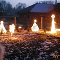 Iluminacje świąteczne - oświetlenie posesji