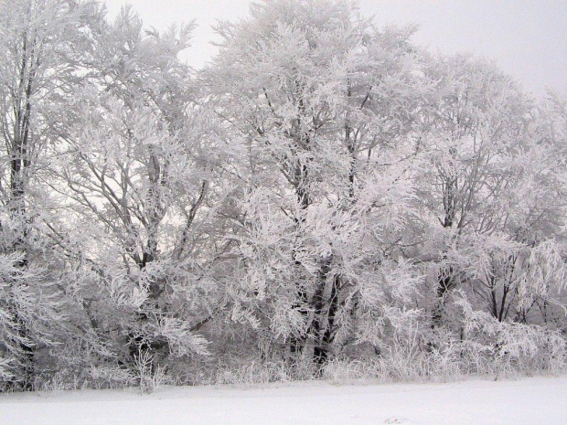 Zdjęcia Bieszczad zimą. Grudzień 2007 #GóryZimaŚnieg