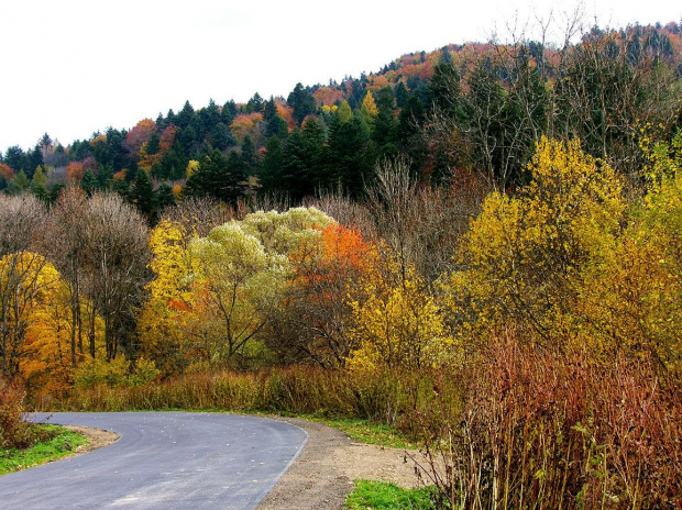 #Bieszczady #góry