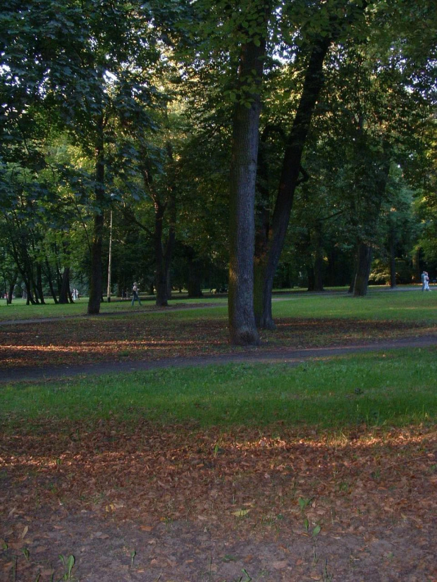 Park Żeromskiego