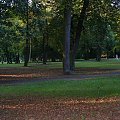 Park Żeromskiego