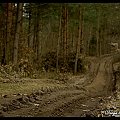 Droga biegnie do lasu :) #Lębork #SławomirŁukaszuk #slawqe #PentaxK10d