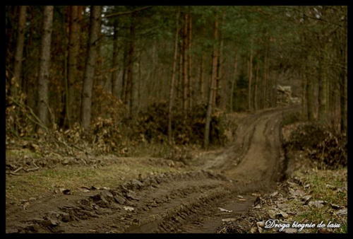 Droga biegnie do lasu :) #Lębork #SławomirŁukaszuk #slawqe #PentaxK10d