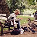 St.James park-Londyn