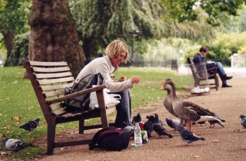 St.James park-Londyn