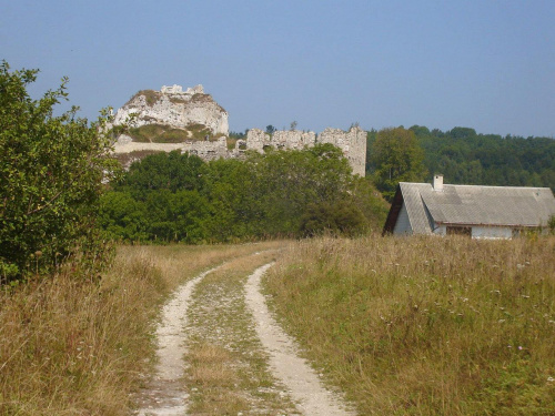Widok na ruiny zamku Rabsztyn k. Olkusza